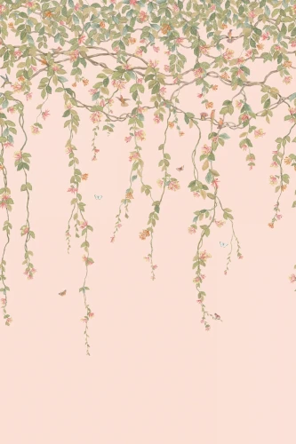 mural botaniczny 124/2009 Cole&Son Hummingbirds
