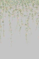 mural botaniczny 124/2010 Cole&Son Hummingbirds