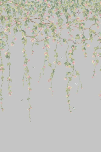 mural botaniczny 124/2010 Cole&Son Hummingbirds