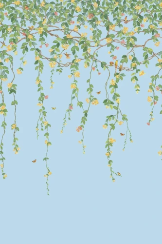 mural botaniczny 124/2011 Cole&Son Hummingbirds