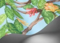 mural botaniczny 124/2011 Cole&Son Hummingbirds