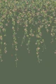 mural botaniczny 124/2012 Cole&Son Hummingbirds