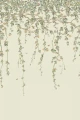 mural botaniczny 124/2013 Cole&Son Hummingbirds