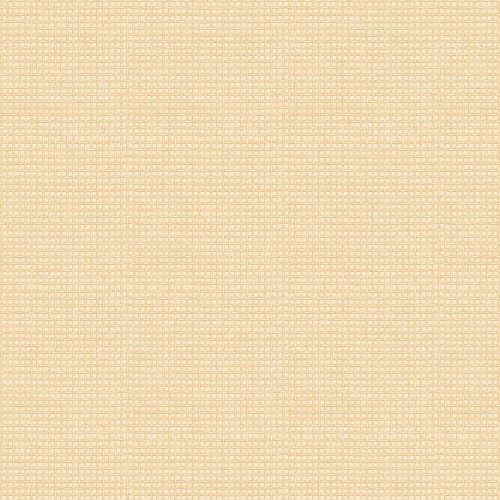 C&S_Shinrin Yoku_Textures_126-13046.jpg