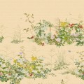 C&S_Shinrin Yoku_Scenic Flora_126-7025.jpg