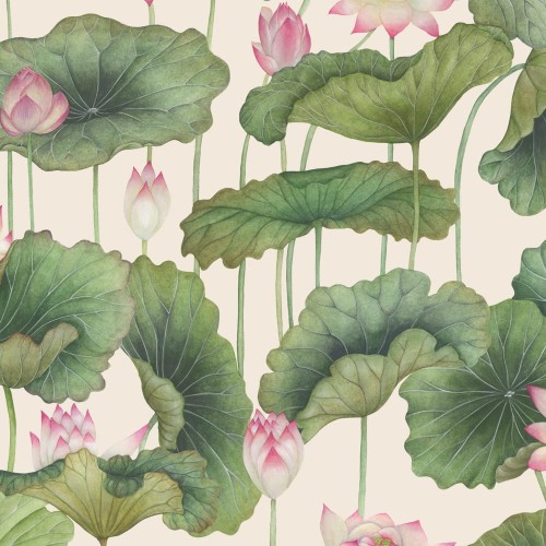 C&S_Shinrin Yoku_Lily Lotus_126-9031.jpg