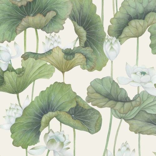 C&S_Shinrin Yoku_Lily Lotus_126-9034.jpg