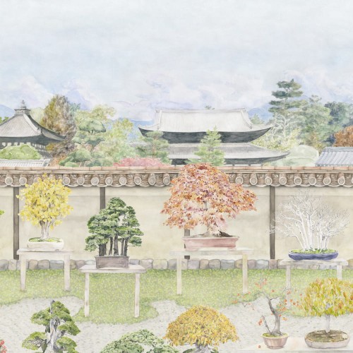 C&S_Shinrin Yoku_Bonsai Garden_126-1002.jpg