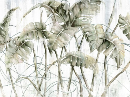 Monstera-art.-595-31-2201