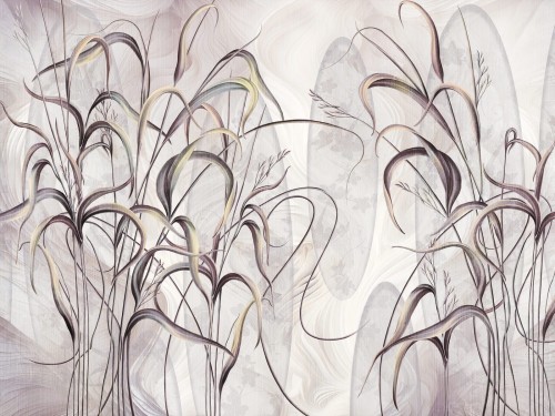 Bonetti-art.-840-31-2401