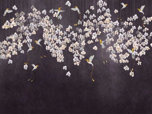 Colibris-975-31-2402