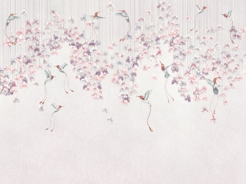 Colibris-975-32-2402