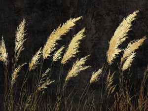 fototapeta w kłosy Verina 1000 31 2402 Wallcraft
