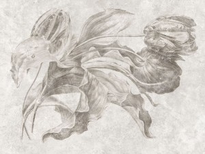 fototapeta w kwiaty Versen 790 31 2301 Wallcraft