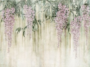 fototapeta w kwiaty Wisteria 680 31 2202 Wallcraft