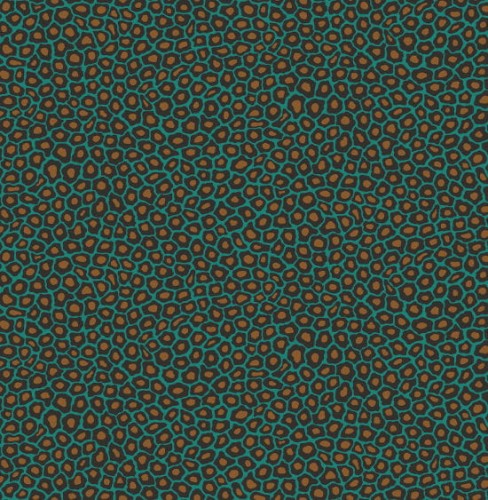  109/6033 tapeta Cole&Son Ardmore