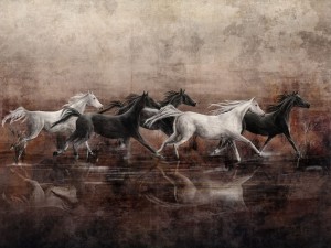 fototapeta w konie Recho 365 31 2101 Wallcraft