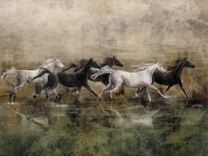 fototapeta w konie Recho 365 32 2101 Wallcraft