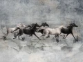 Recho-art.-365-33-2101.jpg