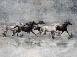 fototapeta w konie Recho 365 33 2101 Wallcraft