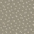 5715_Myrten_Closeup.jpg