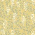 5709_Blaregn_Closeup.jpg
