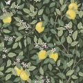 5701_Citrontrad_Closeup.jpg