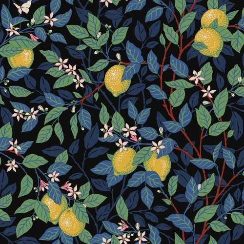 5703_Citrontrad_Closeup.jpg