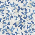 6149_Citrontrad_Closeup.jpg