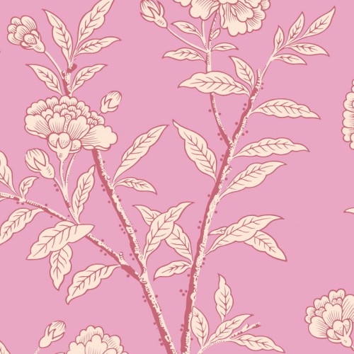 Cole & Son_Classics_Collection_Vol.I_127-3017_Roseberry_RGB.jpg