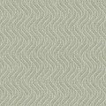 7772_LittleFern_Closeup.jpg