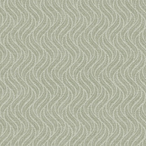 7772_LittleFern_Closeup.jpg
