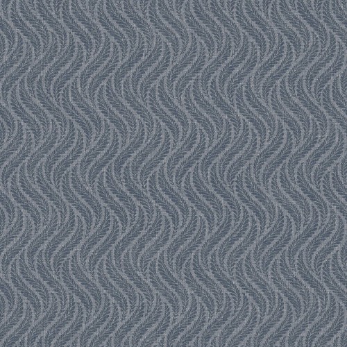 7773_LittleFern_Closeup.jpg
