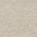 78007-EVQF.jpg