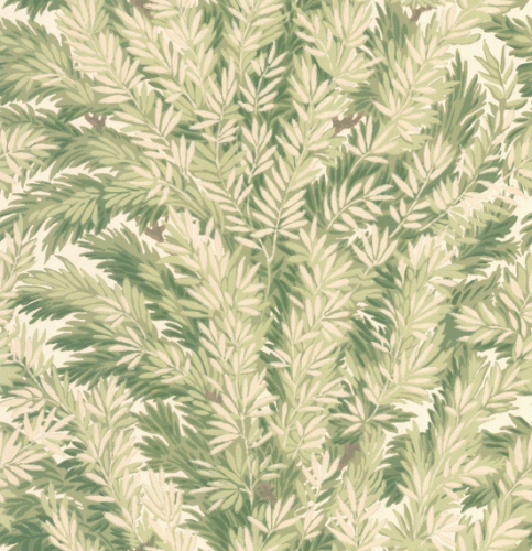 Tapeta 100/1003 Archive Anthology Cole&Son