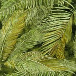 mural egzotyczny Elitis VP 991 01 Matières Végétales