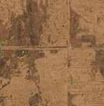 Tapeta naturalny korek Arte 48043A All Naturals Eclat