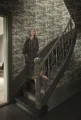 Tapeta jezioro S10689 Lake Como Forest Green Villa Como Sandberg
