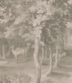 Fototapeta las Timeless Green Wallcolors