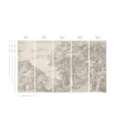 Tapeta las Ethereal Forest Beige Wallcolors
