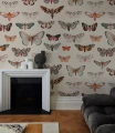 Fototapeta motyle Colorful Butterfly Light Beige WallColors
