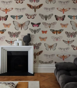 Fototapeta motyle Colorful Butterfly Light Beige WallColors