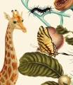 Fototapeta dżungla Funny Jungle Wallcolors