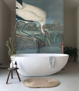 Fototapeta bocian Stork Wallcolors