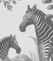 Fototapeta zebry Zebra on agave wallcolors