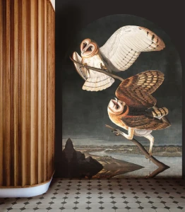 Fototapeta sowy Owls Wallcolors
