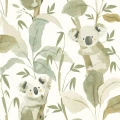 Tapeta w misie koala Cristiana Masi 4439 Momi