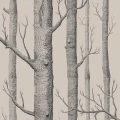 112/3009 Woods tapeta Icons Cole&Son