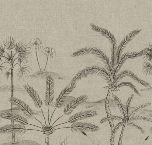 Mural krajobraz gaju palmowego Casamance 78223874 Racines