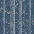  103/11052 Tapeta Cole&Son Whimsical 